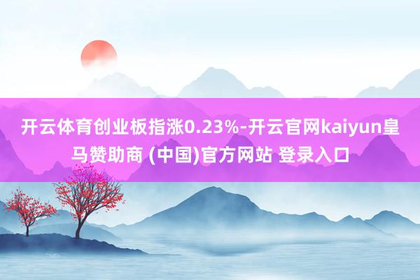 开云体育创业板指涨0.23%-开云官网kaiyun皇马赞助商 (中国)官方网站 登录入口