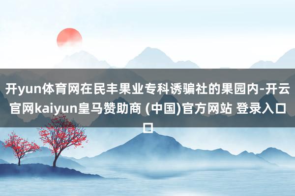 开yun体育网 在民丰果业专科诱骗社的果园内-开云官网kaiyun皇马赞助商 (中国)官方网站 登录入口